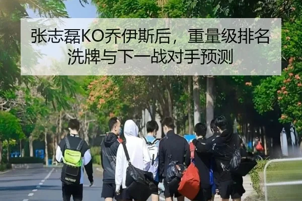 张志磊KO乔伊斯后，重量级排名洗牌与下一战对手预测