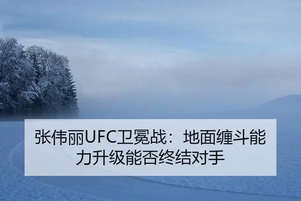 zhang-wei-li-wei-mian-zhan-di-mian-chan-dou-neng-li-sheng-ji-neng-fou-zhong-jie-dui-shou-2-507.jpg