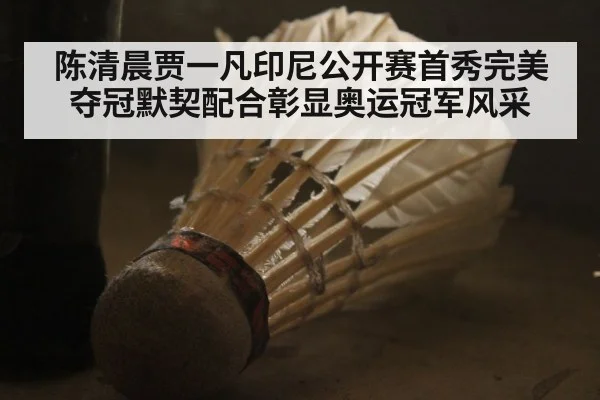 陈清晨贾一凡印尼公开赛首秀完美夺冠默契配合彰显奥运冠军风采